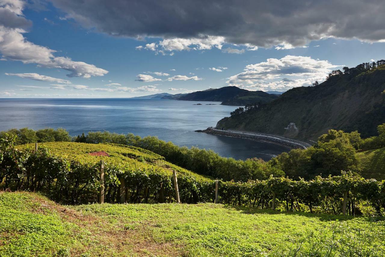 Aterian Muskaria Apartment Zarautz Bagian luar foto