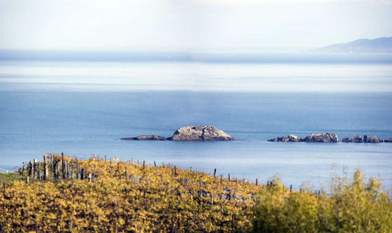 Aterian Muskaria Apartment Zarautz Bagian luar foto